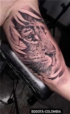 Mitä Half Tiger Tattoo tarkoittaa?